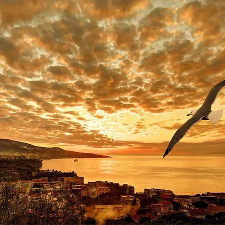 Caruso 1 - Apartamento *