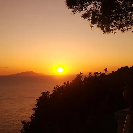 Caruso 1 By Villasandco Rentalsorrento Lägenhet Sorrento