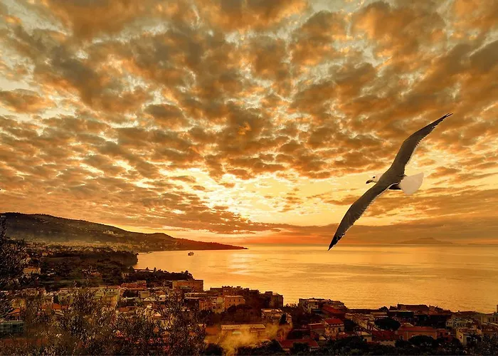 Caruso 1 By Villasandco Rentalsorrento アパート *